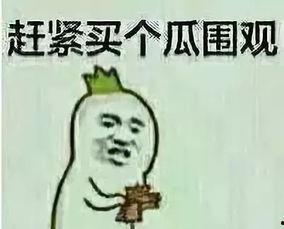 吃瓜舆论,揭秘网络热议背后的真相与争议