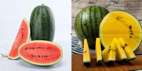 渝可吃瓜欣赏,探寻重庆美食的独特魅力