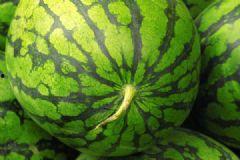 吃瓜容易长胖吗,吃瓜真的会导致长胖？揭秘瓜果热量与体重关系