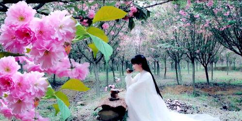 藤萝青衫和吃瓜亭