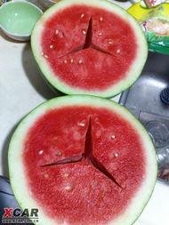 梁山奔驰吃瓜,一场吃瓜群众的狂欢盛宴