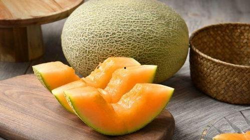 blue吃哈密瓜,哈密瓜的甜蜜之旅