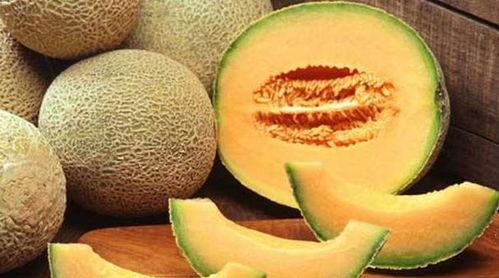 blue吃哈密瓜,哈密瓜的甜蜜之旅