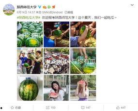 各大高校吃瓜网站