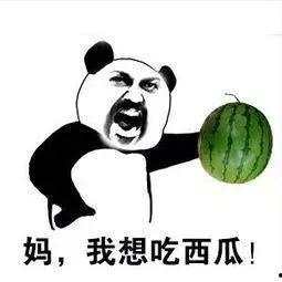 吃瓜全文完结,揭秘幕后真相，尘埃落定！