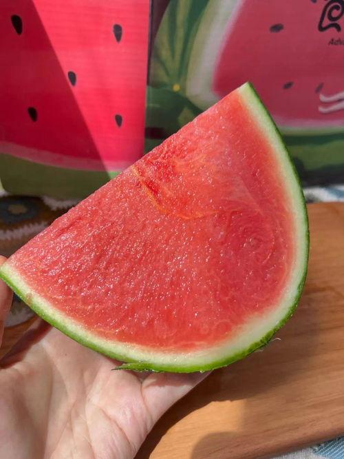 美帝吃瓜,揭秘美国政治的“吃瓜”现象