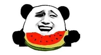 吃瓜选手小乖乖,揭秘吃瓜选手的趣味生活