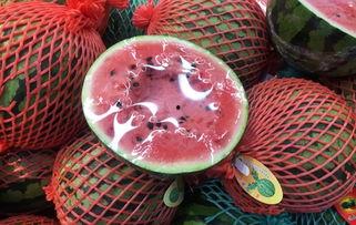 月下吃瓜后续,揭秘娱乐圈背后的秘密与真相