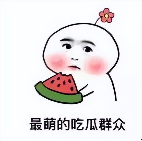 呆瓜能吃吗石瓜吃不动了