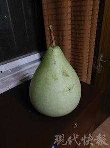 河南吃瓜中毒,揭秘夏日消暑美食背后的风险与防范