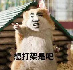 变态吃瓜图片,变态吃瓜背后的社会现象解析