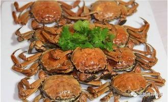 华石镇吃瓜,瓜香四溢，品味夏日田园风情