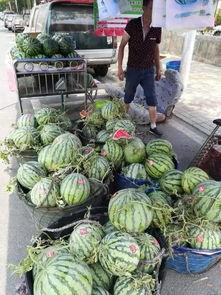 武汉校园吃瓜事件,一场网络热议背后的真相与反思