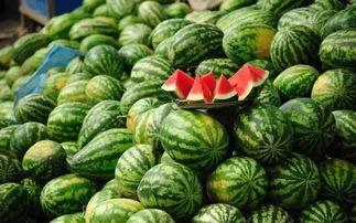 武汉校园吃瓜事件,一场网络热议背后的真相与反思