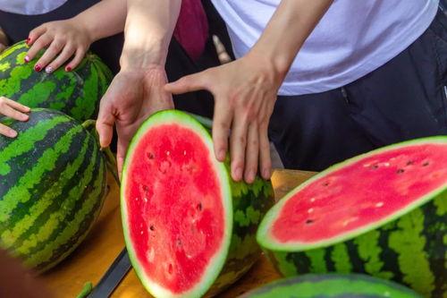 贵州学校吃瓜,揭秘校园食品安全风波