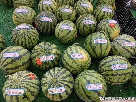 反诈宣传吃瓜,吃瓜群众也能成为反诈高手