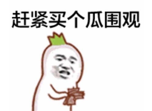 吃瓜群众玖儿,揭秘娱乐圈幕后故事