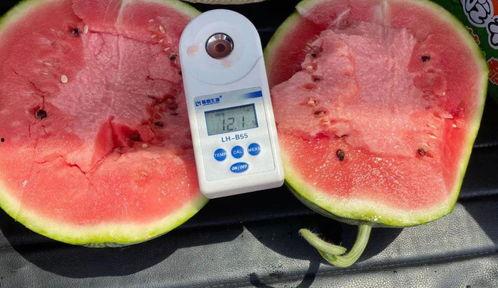 吃瓜粉红色,揭秘吃瓜粉的甜蜜诱惑