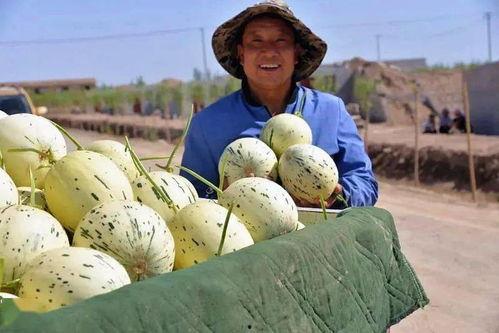 甘肃建筑吃瓜事件,揭秘工地生活背后的文化现象