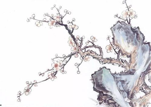 梅花红桃吃瓜,探寻传统美食的韵味与魅力