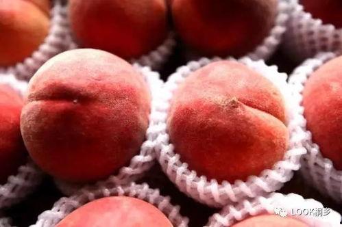 梅花红桃吃瓜,探寻传统美食的韵味与魅力