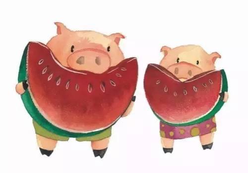 切瓜给猪吃,一场别开生面的喂食盛宴