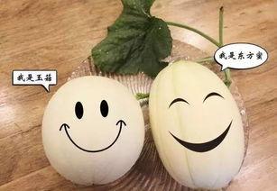 聪明的吃瓜,揭秘“聪明吃瓜”背后的智慧生活法则