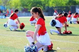 校园吃瓜解说,那些你不知道的幕后故事