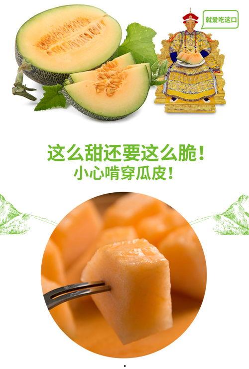 乔妹吃蜜瓜,夏日清新滋味尽享