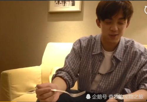 吴博吃瓜直播视频,揭秘娱乐圈幕后故事