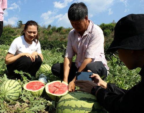 吃瓜群众的摄影,吃瓜群众的摄影视角