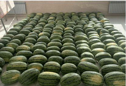 揭阳最新吃瓜新闻,最新网红美食事件引发全民热议