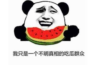 啥态度吃瓜啥意思,揭秘不同心态下的“吃瓜”现象