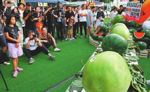 西瓜视频吃瓜节