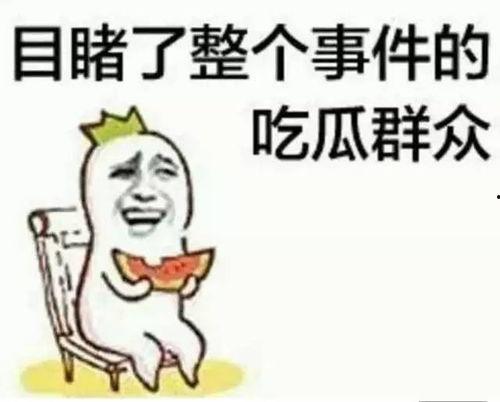 蔡小熊 吃瓜,揭秘娱乐圈幕后故事