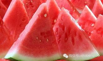 吃瓜在户外,夏日炎炎里的清凉小确幸