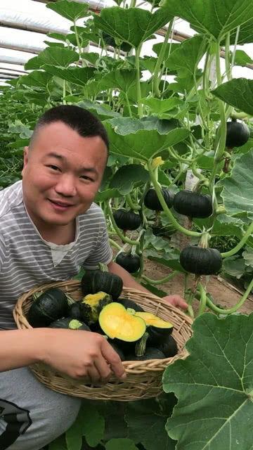 吃瓜粉红色,揭秘吃瓜粉的甜蜜诱惑