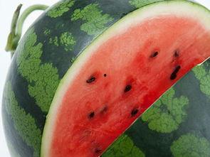 莘县在哪吃瓜,莘县特色瓜果美食之旅