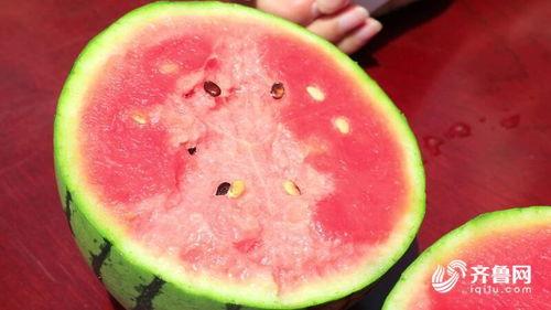 莘县在哪吃瓜,莘县特色瓜果美食之旅