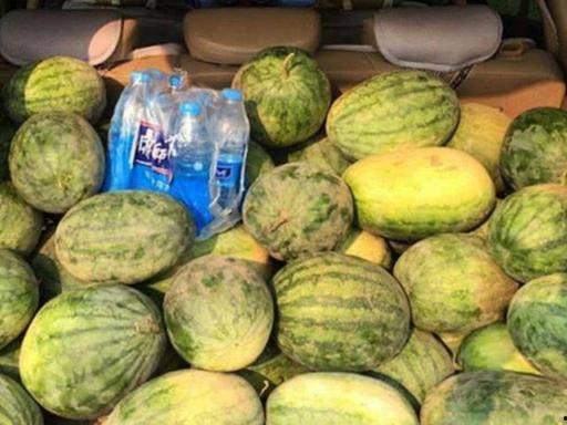 吃角瓜方瓜拉瓜过敏,探寻过敏源背后的真相