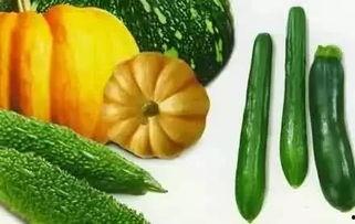 夏吃叶还是夏吃瓜读音,叶香瓜甜，夏吃叶还是夏吃瓜？