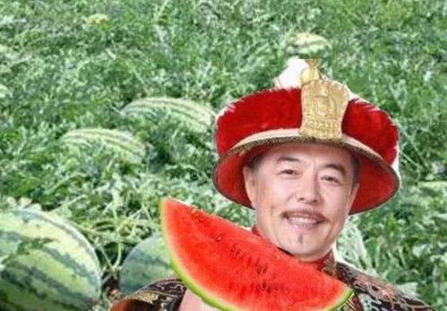 乾隆在路边吃瓜说瓜很甜,古帝体验民情趣事