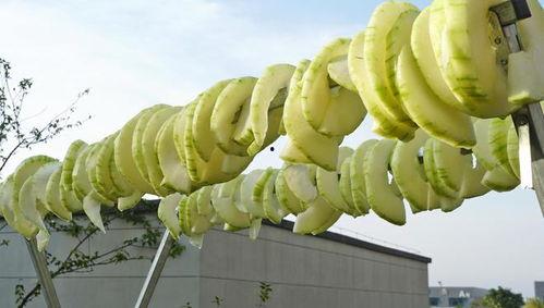 吃瓜系统35,带你领略全新社交风潮