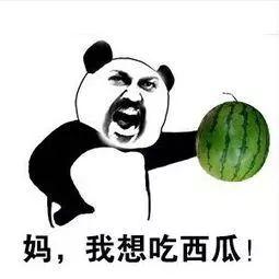 吃瓜全文完结,揭秘幕后真相，尘埃落定！