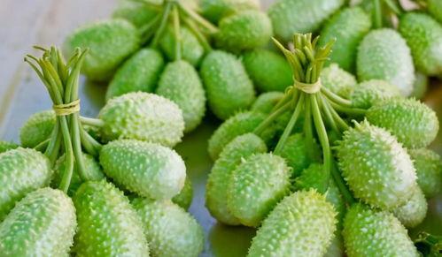 世兰吃瓜,揭秘娱乐圈背后的那些事儿