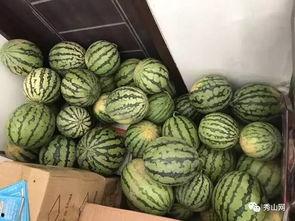 各种爆料吃瓜群,吃瓜群爆料背后的真相与内幕