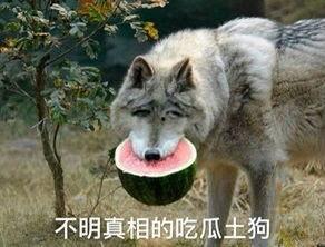 上学只是为吃瓜,揭秘学生时代那些“吃瓜”趣事