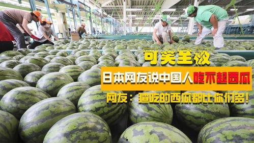 日本网友吃瓜,娱乐圈最新“瓜”事件揭秘