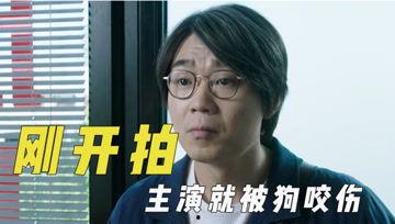 wobt.吃瓜君,WOBT现象背后的文化解读