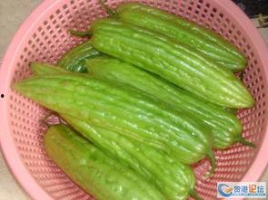 阿姨瓜怎么吃,解锁夏日清新美味